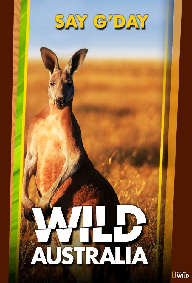 悠悠MP4_MP4电影下载_[野性澳大利亚 Wild Australia 第一季][全04集][英语无字][MKV][720P/1080P][WEB-RAW]