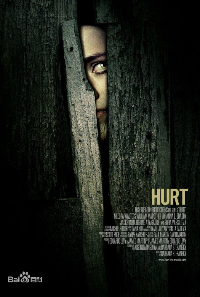 悠悠MP4_MP4电影下载_伤害 Hurt.2009.1080p.AMZN.WEBRip.DDP2.0.x264-SiGLA 6.53 GB