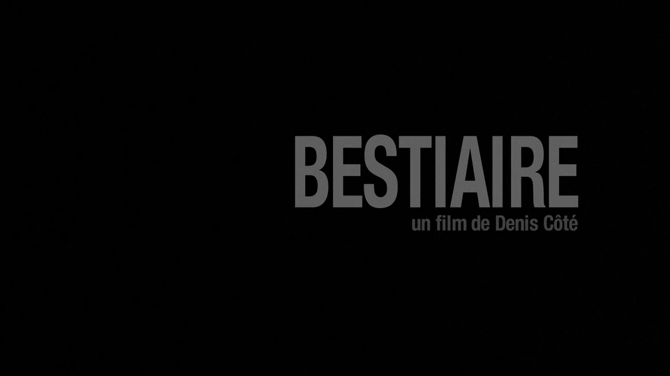 悠悠MP4_MP4电影下载_静观百兽 Bestiaire.2012.1080p.WEBRip.x264-RARBG 1.37 GB