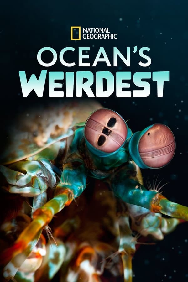 悠悠MP4_MP4电影下载_[奇异的海洋 Oceans Weirdest 第一季][全03集][英语中字][MKV][720P/1080P][