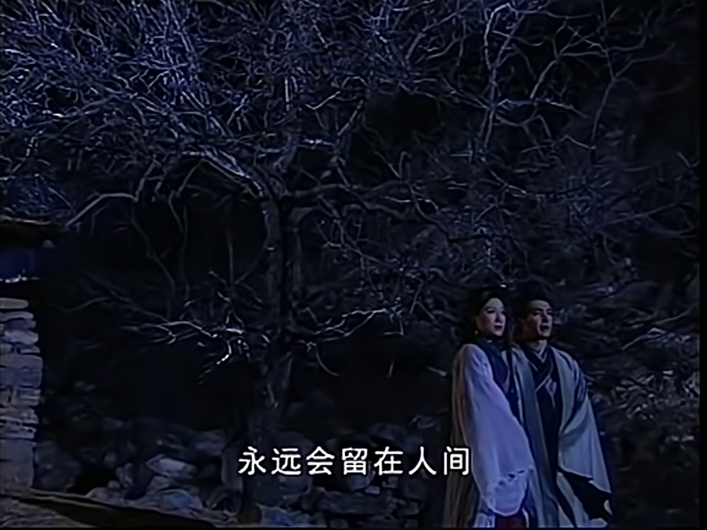 悠悠MP4_MP4电影下载_[奔月][全30集][WEB-MP4/38.86G][国语配音/中文字幕][4K-2160P][H265][HotWEB]