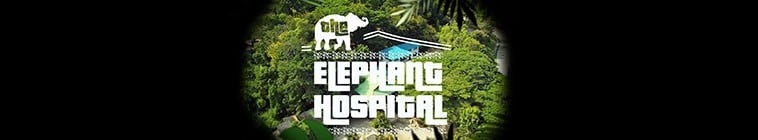 悠悠MP4_MP4电影下载_[大象医院 Elephant Hospital 第一至二季][全02季][英语无字][MKV][1080P][片源